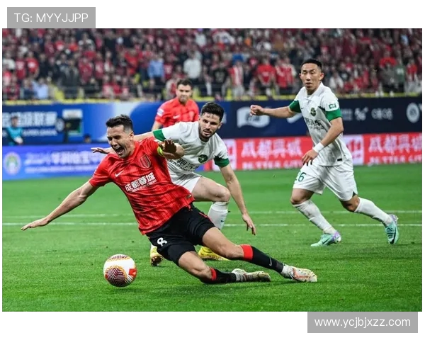 成都排球队强势领跑大满贯积分榜积累80分展现冠军实力